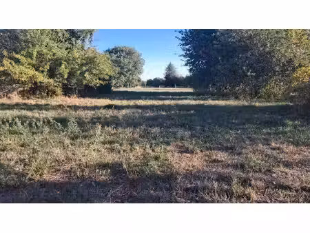 vente terrain 1105 m² ozillac (17500)