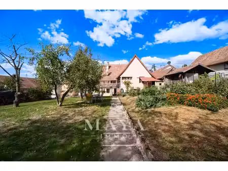 achat maison 6 pièces 114m² waldighofen 68640