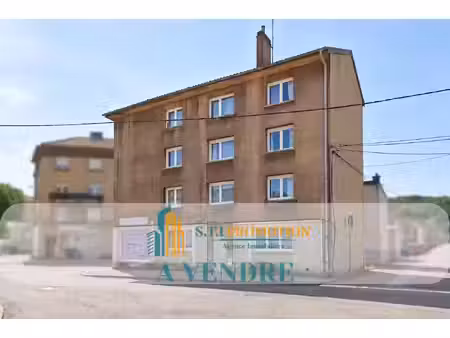 achat immeuble 213m² villerupt 54190
