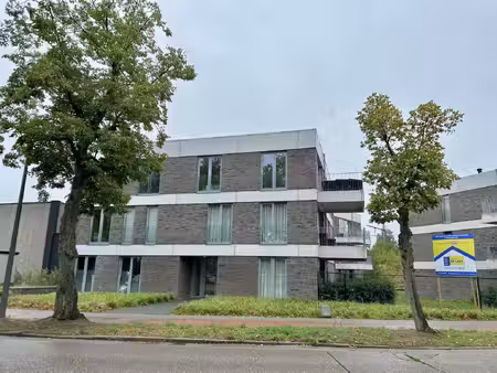 appartement te huur in ekeren met 2 slaapkamers