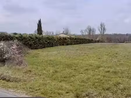 vente terrain à lherm (31600) : à vendre / 45000m² lherm