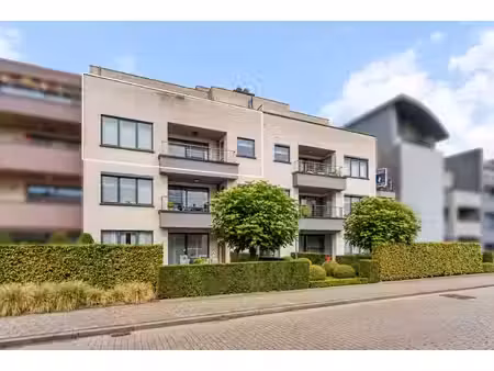 appartement te koop in turnhout met 3 slaapkamers