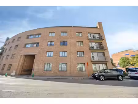 appartement te koop in hasselt met 1 slaapkamer