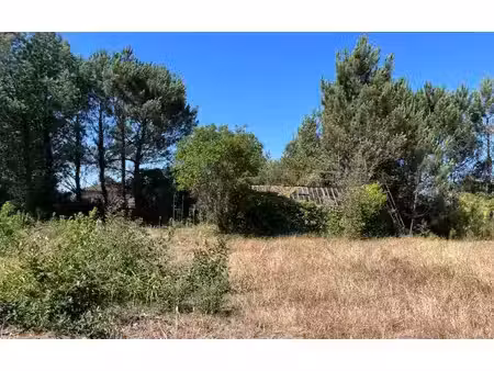 terrain à vendre