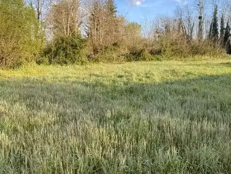 vente terrain 650 m² landiras (33720)