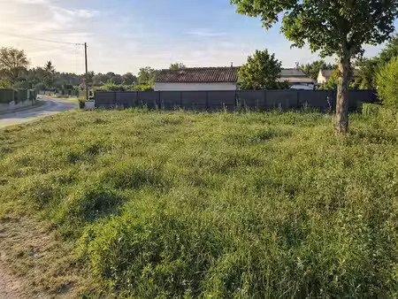 vente terrain 600 m² peujard (33240)