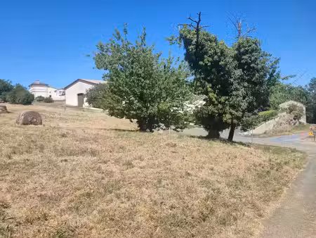 vente terrain 1000 m² cadillac-sur-garonne (33410)
