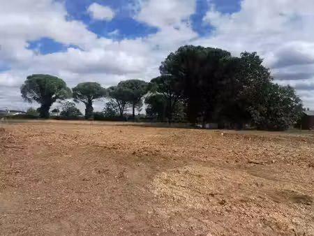 vente terrain 910 m² saint-maixant (33490)