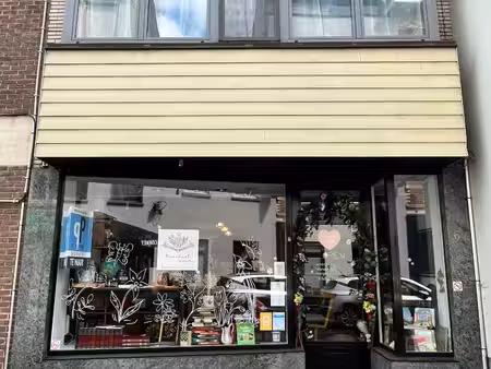 commercieel te huur in zottegem