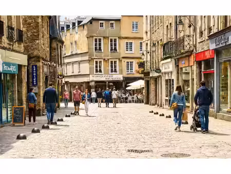 vente locaux professionnels 0 pièces 60 m² à dinan (22100)  81 300 €