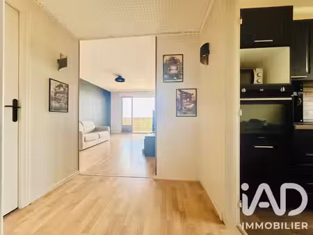 appartement à la chapelle-saint-mesmin (45380)