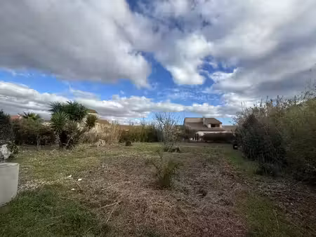 terrain