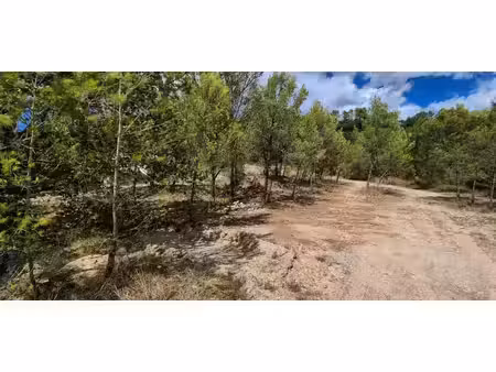 vente terrain 1172 m² saint-mathieu-de-tréviers (34270)