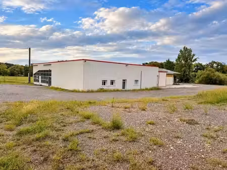 vente locaux professionnels 8 pièces 1100 m² à lanne-soubiran (32110)  247 312 €