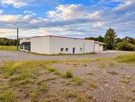 vente commerce 8 pièces 1100 m² lanne-soubiran (32110)