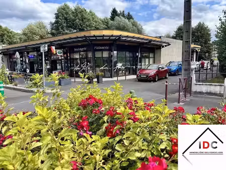 vente locaux professionnels 180 m² à sarrebourg (57400)  261 000 €
