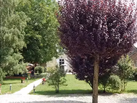 vente chateau-chalon (39)  à vendre maison de caractère 400 m²  5 chambres d'hôtes + logem