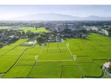 terrain - 1429 m²