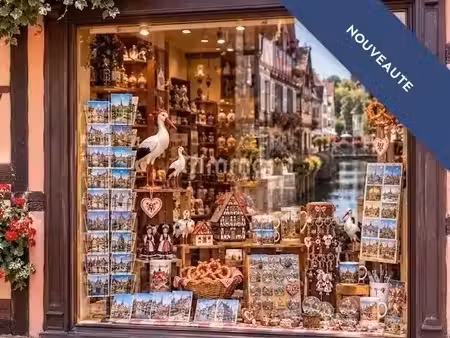 vente locaux professionnels 4 pièces 150 m² à colmar (68000)  550 000 €