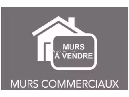 vente locaux professionnels 5 pièces 1500 m² à cussac-sur-loire (43370)  1 045 000 €