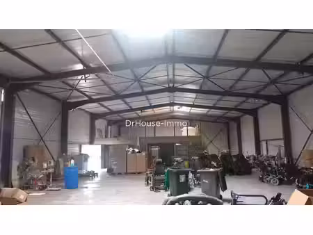 vente locaux professionnels 10 pièces 990 m² à saint-paulien (43350)  782 500 €
