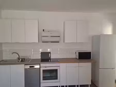 location appartement 2 pièces 40 m² à nancy (54000)
