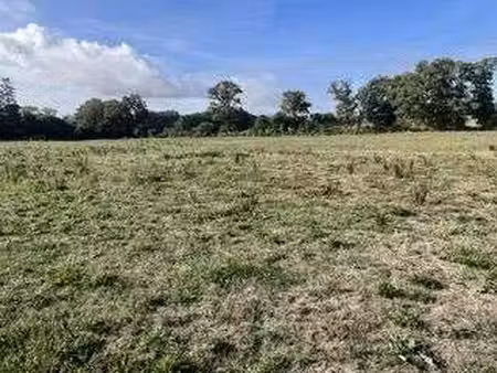 vente terrain à sainte-hélène (56700) : à vendre / sainte-hélène