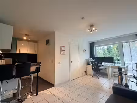 gezellige flat met terras vlakbij station en centrum leuven