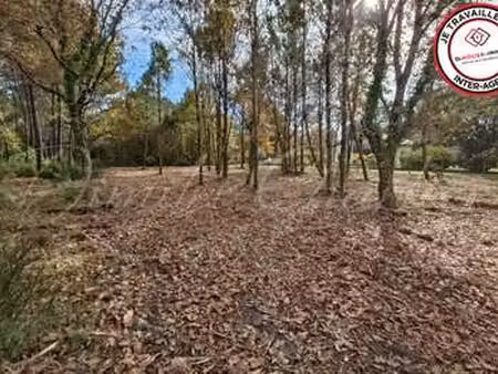 vente terrain à saint-sauveur (33250) : à vendre / 1100m² saint-sauveur