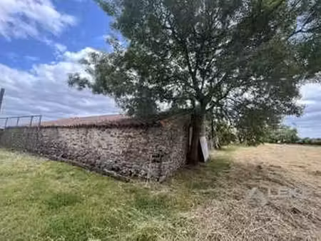 vente maison à mouchamps (85640) : à vendre / 265m² mouchamps