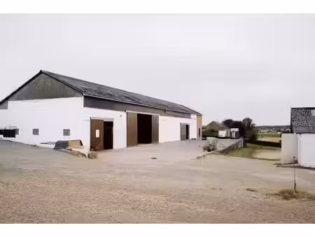 propriété équestre  29 boxes  pistes  prairies et habitation