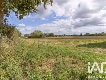 vente terrain à saint-paul-mont-penit (85670) : à vendre / 1200m² saint-paul-mont-penit