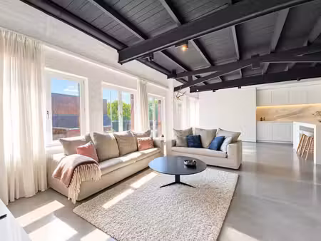 loft de caractère avec une terrasse exposée