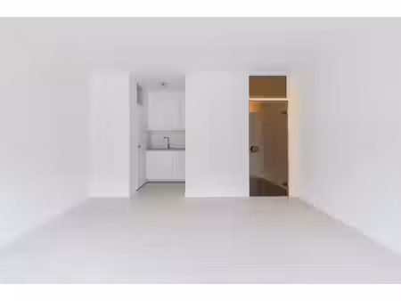 gerenoveerde studio op boogscheut van antwerpen