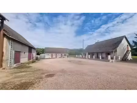 vente propriété 7 pièces 106 m² à mercy (03340)  300 000 €