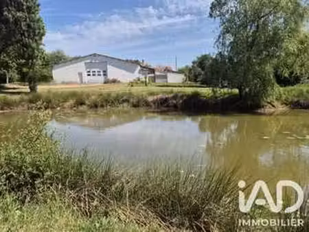 vente maison à venansault (85190) : à vendre / 147m² venansault