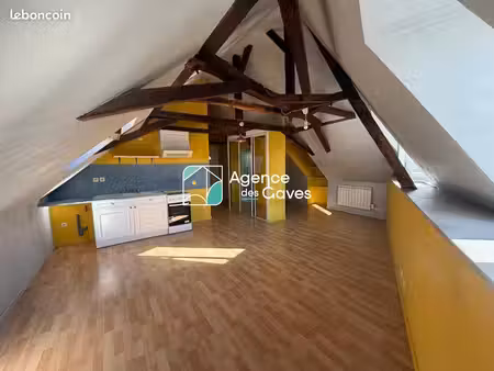 studio 1 pièce 28 m²