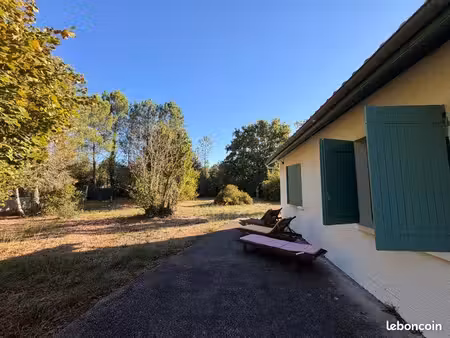 location maison ychoux