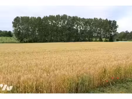 terrain constructible neuf à vendre