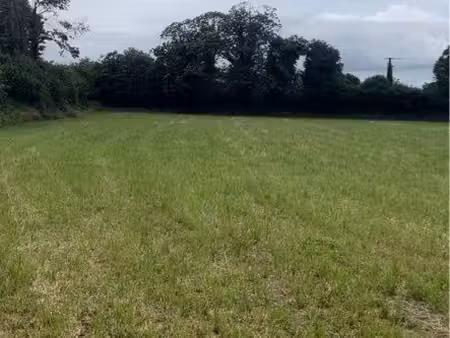 terrain à louer