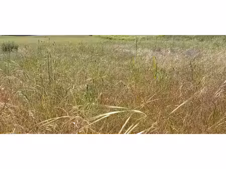 terrain constructible neuf à vendre
