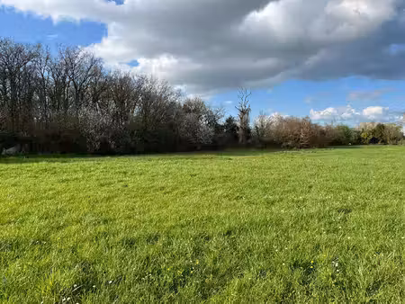 terrain à vendre