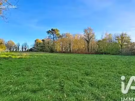 vente terrain à allaire (56350) : à vendre / 3012m² allaire