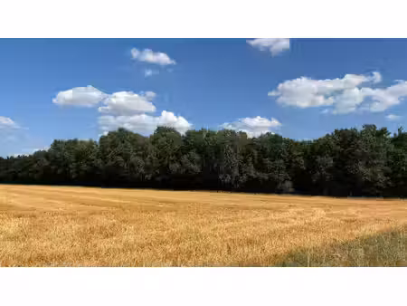 terrain à vendre