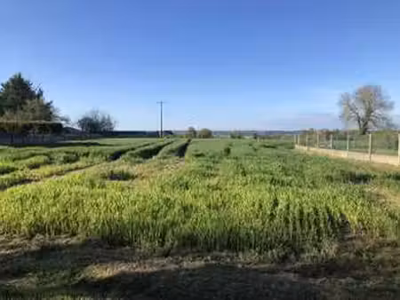 vente terrain à peillac (56220) : à vendre / 2510m² peillac