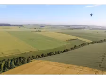 terrain agricole à vendre