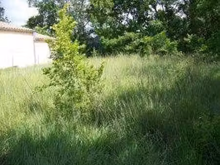 terrain constructible neuf à vendre
