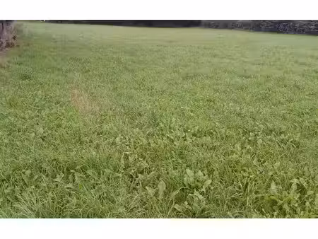 terrain constructible neuf à vendre