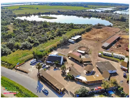 en exclusivité à vendre : ranch - le grau du roi - terrain et infrastructure