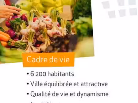 vente terrain à elven (56250) : à vendre / elven